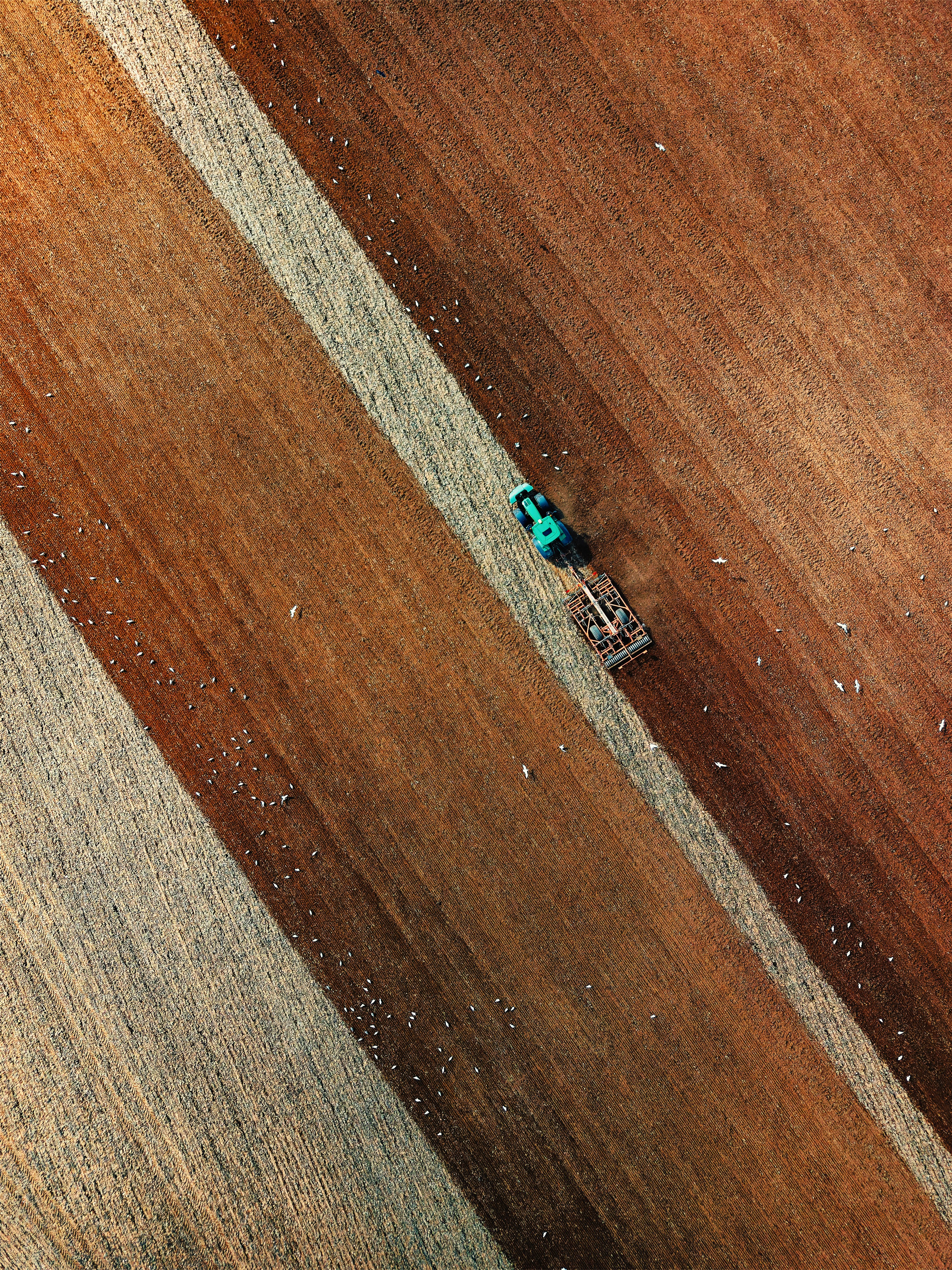 A stripped-down Alberta tractor in a farm field at sunrise, representing the growing demand for software-free farm equipment